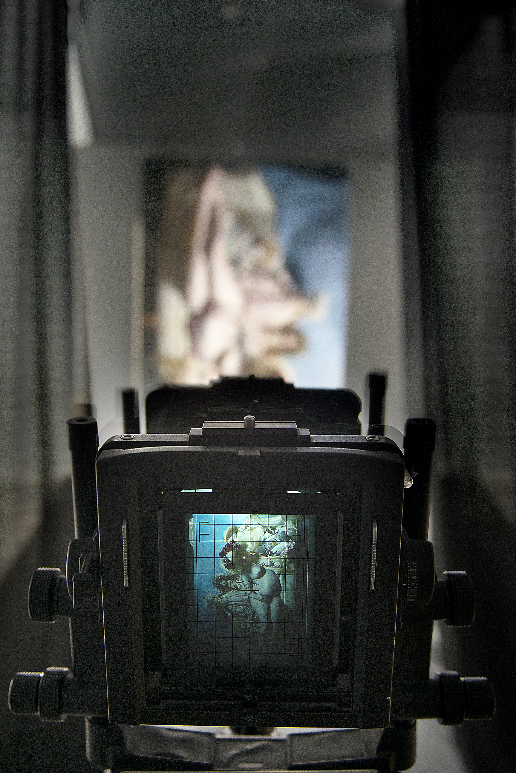 Art photography - Painting by Northern Virginia artist Teresa Oaxaca, viewed through the back of a traditional view camera.