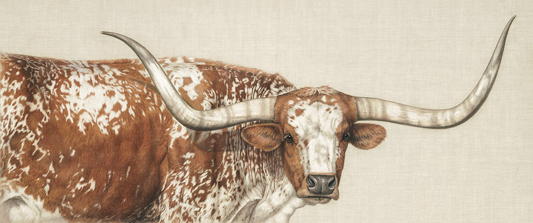 Artwork by Susan Van Wagoner, depicting a Texas Longhorn, photographed in Alexandria, Virginia for fine art prints