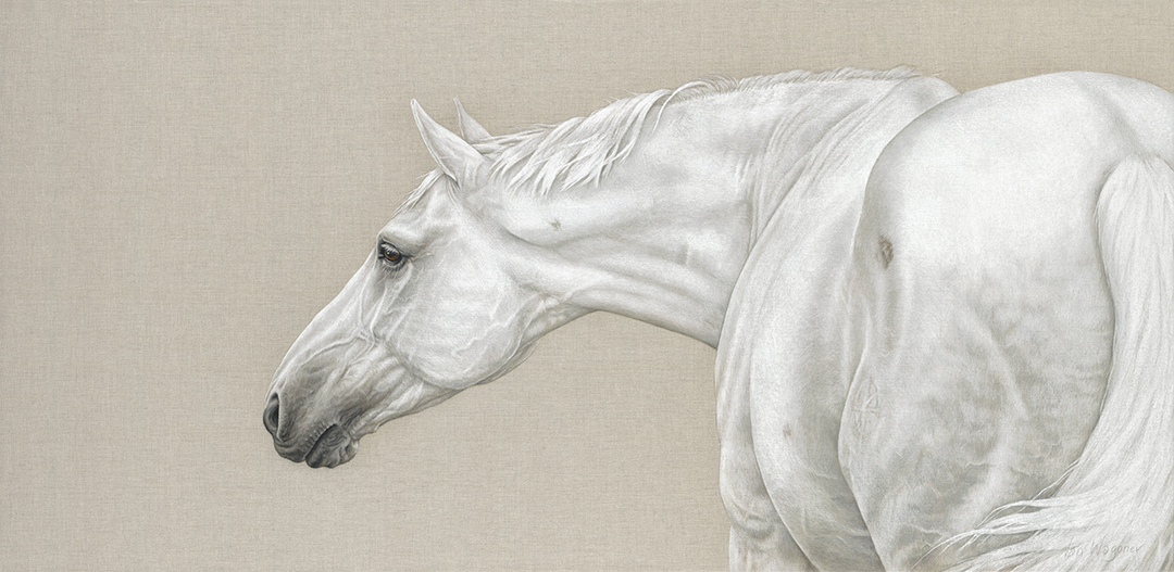 Artwork by Susan Van Wagoner, depicting a white horse looking left.