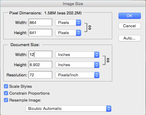 File information for a web sized file