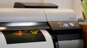 An example of the Canon prints in our studio, located in Northern Virginia