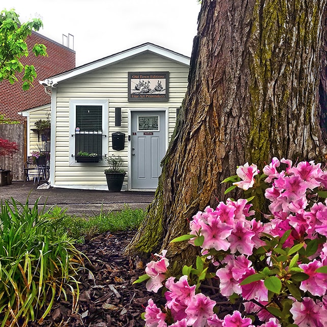 Old Town Editions studio in springtime, business for art reproductions
